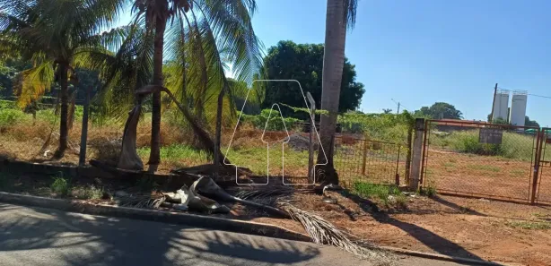 Fazenda / Sítio / Chácara com 1 Quarto para alugar, 5054m² no Petit-Trianon, Araçatuba