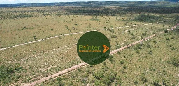 Fazenda / Sítio / Chácara à venda, 4900500m² no , Ponte Alta do Tocantins