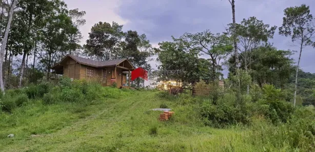 Fazenda / Sítio / Chácara com 2 Quartos à venda, 40000m² no , Antonina