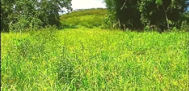 Fazenda / Sítio / Chácara com 2 Quartos à venda, 240000m² no , Rio Bonito