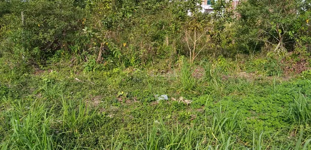 Terreno / Lote / Condomínio à venda, 140m² no Parque São Benedito, Campos dos Goytacazes