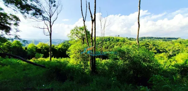 Fazenda / Sítio / Chácara à venda, 146400m² no , Catanduvas