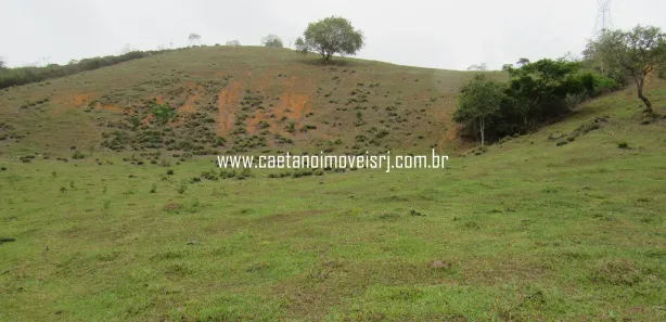 Fazenda / Sítio / Chácara com 3 Quartos à venda, 250000m² no Papucaia, Cachoeiras de Macacu