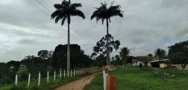 Fazenda / Sítio / Chácara com 4 Quartos à venda, 150000m² no Matriz, Vitória de Santo Antão