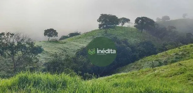 Fazenda / Sítio / Chácara à venda, 10648000m² no , Padre Bernardo