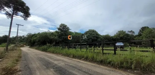Fazenda / Sítio / Chácara com 1 Quarto à venda, 24200m² no Felpudo, Campo Largo