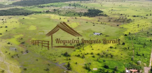 Fazenda / Sítio / Chácara à venda, 1m² no , Formoso do Araguaia