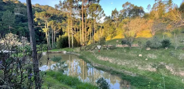 Fazenda / Sítio / Chácara com 3 Quartos à venda, 14000m² no Centro, São Lourenço da Serra