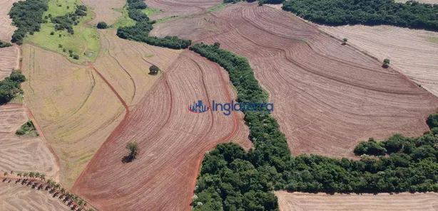 Fazenda / Sítio / Chácara à venda, 452540m² no , Sertanópolis