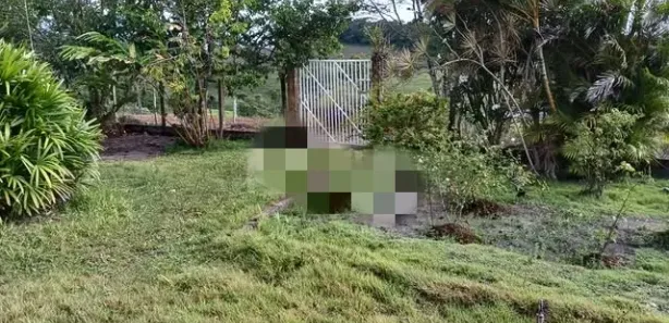 Fazenda / Sítio / Chácara com 5 Quartos à venda, 650000m² no Pau Ferro, Quipapá