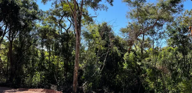Fazenda / Sítio / Chácara com 3 Quartos à venda, 1000m² no Saboó, São Roque