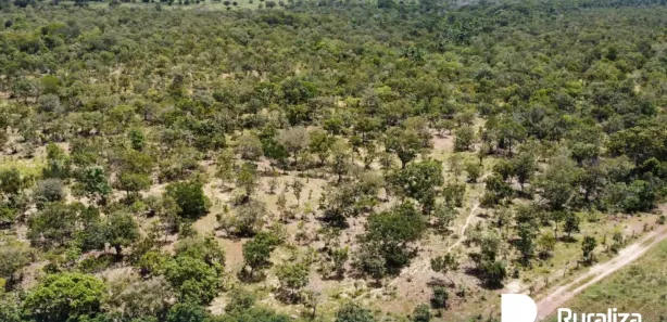 Fazenda / Sítio / Chácara à venda, 290m² no , Pium
