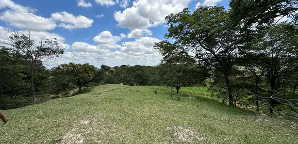 Fazenda / Sítio / Chácara com 4 Quartos à venda, 130000m² no Centro, Florestal
