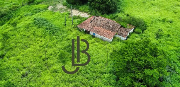 Fazenda / Sítio / Chácara com 2 Quartos à venda, 100m² no Centro, Pilar