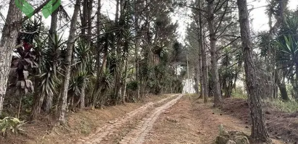 Terreno / Lote / Condomínio à venda, 18455m² no Taboleiro Verde, Cotia