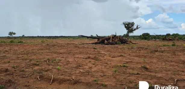 Fazenda / Sítio / Chácara à venda, 528m² no , Lagoa da Confusão