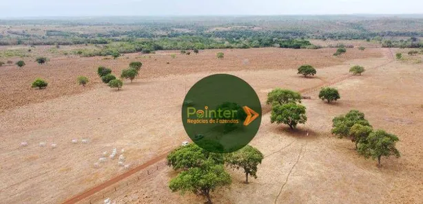 Fazenda / Sítio / Chácara à venda, 19166400m² no , Lagoa da Confusão