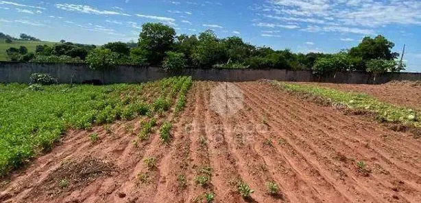 Terreno / Lote / Condomínio à venda, 1636m² no Floraí, Floraí