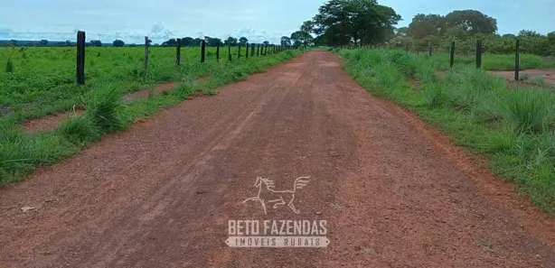 Fazenda / Sítio / Chácara à venda, 76850000m² no , Formoso do Araguaia