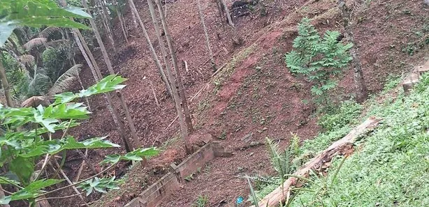 Fazenda / Sítio / Chácara com 2 Quartos à venda, 1800m² no Paiol do Meio, São Lourenço da Serra