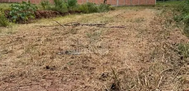 Terreno / Lote / Condomínio para alugar, 4424m² no Vila Nossa Senhora Aparecida, Araraquara