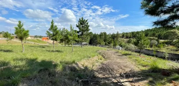 Terreno / Lote / Condomínio à venda, 3786m² no Loteamento Bosque Merhy, Quatro Barras