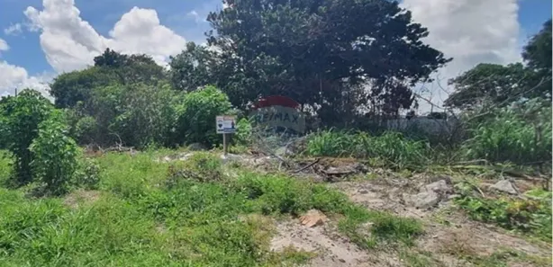 Terreno / Lote / Condomínio à venda, 555m² no , Pitimbu