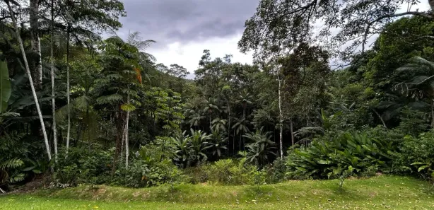 Fazenda / Sítio / Chácara com 2 Quartos à venda, 7000m² no Centro, Águas Mornas