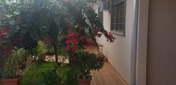 Casa com 3 Quartos para alugar, 150m² no Jardim Caviúna, Rolândia