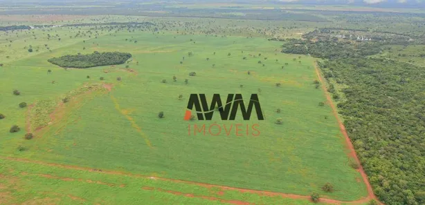 Fazenda / Sítio / Chácara à venda, 52270000m² no Javaés, Lagoa da Confusão