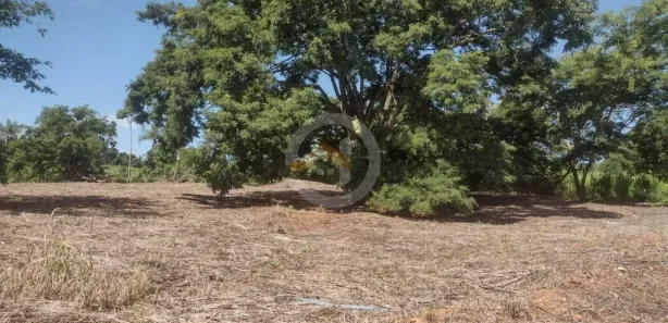 Terreno / Lote / Condomínio à venda, 1965m² no , Bela Vista de Goiás