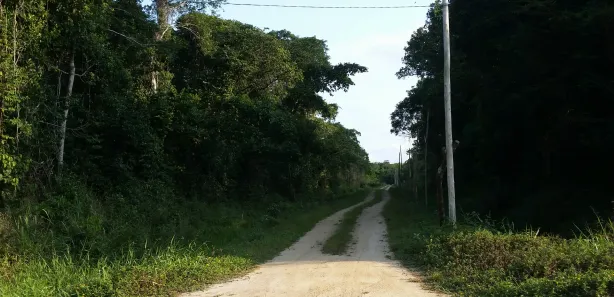 Terreno / Lote / Condomínio à venda, 5000m² no Praia do Ervino, São Francisco do Sul
