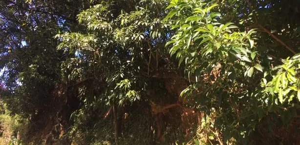 Terreno / Lote / Condomínio à venda, 10m² no Castelanea, Petrópolis