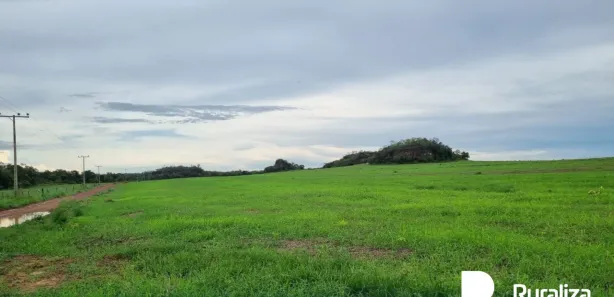 Fazenda / Sítio / Chácara à venda, 1621m² no , Santa Maria do Tocantins