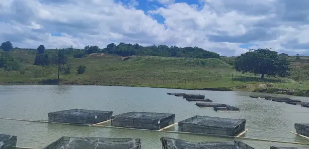 Fazenda / Sítio / Chácara com 3 Quartos à venda, 570000m² no , Brejinho