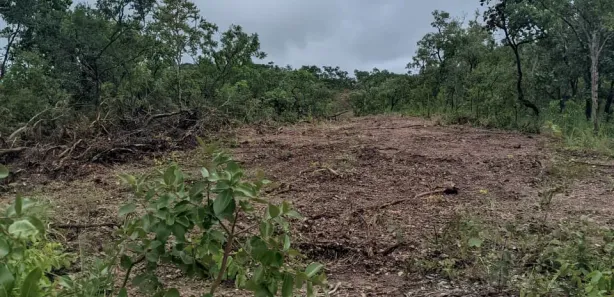 Fazenda / Sítio / Chácara à venda, 1m² no , Paranã