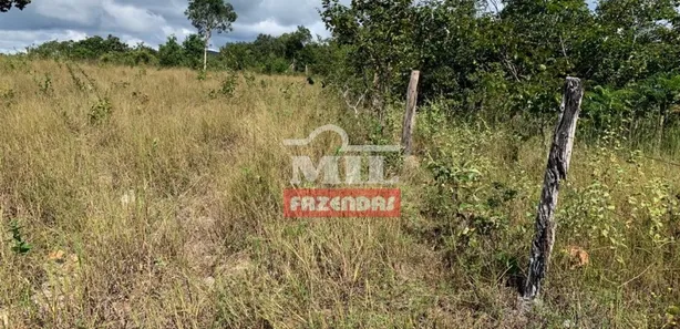 Fazenda / Sítio / Chácara à venda, 500m² no , Paranã