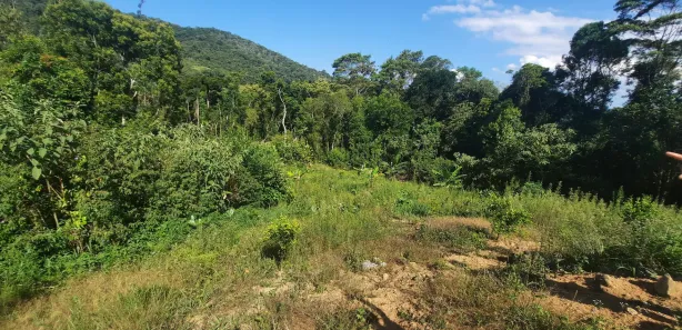 Fazenda / Sítio / Chácara com 2 Quartos à venda, 20000m² no , Águas Mornas