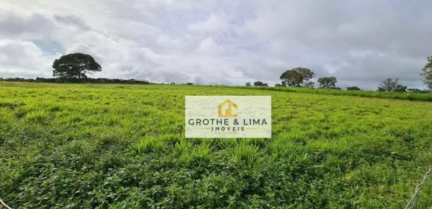 Fazenda / Sítio / Chácara com 10 Quartos à venda, 600m² no Centro, Lagoa da Confusão