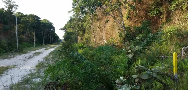 Terreno / Lote / Condomínio à venda, 5000m² no Praia do Ervino, São Francisco do Sul