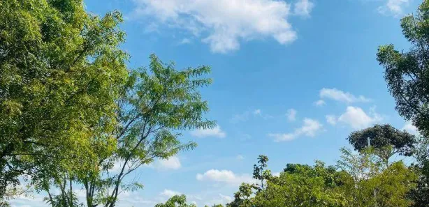 Fazenda / Sítio / Chácara à venda, 132876m² no Área Rural de Santo Antônio do Descoberto, Santo Antônio do Descoberto