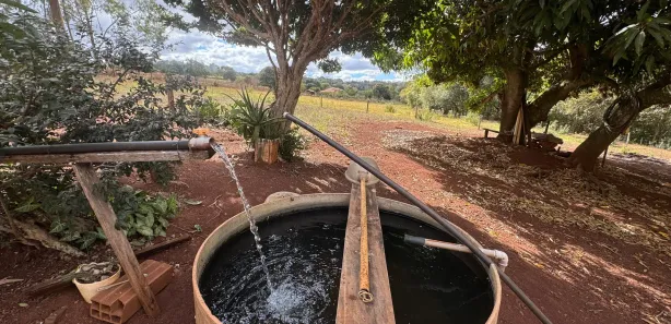 Fazenda / Sítio / Chácara com 2 Quartos à venda, 5900m² no , Nerópolis