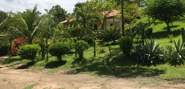 Fazenda / Sítio / Chácara à venda, 14700m² no Centro, Tanguá