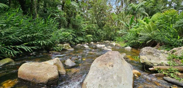 Fazenda / Sítio / Chácara à venda, 463710m² no Ponta da Pedra, Antonina