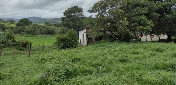 Terreno / Lote / Condomínio à venda, 20000m² no , Fortuna de Minas