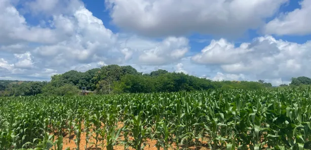 Fazenda / Sítio / Chácara com 4 Quartos à venda, 12000m² no Quintas Paraíso - Etapa A, Águas Lindas de Goiás