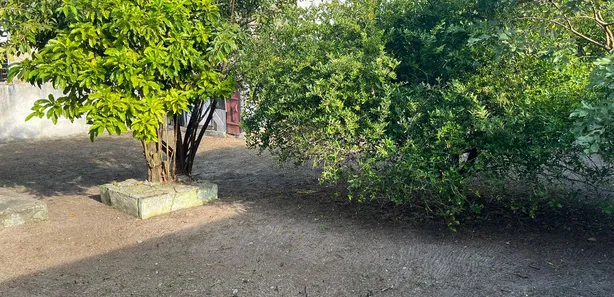 Terreno / Lote / Condomínio à venda, 620m² no Palmital, Paranaguá