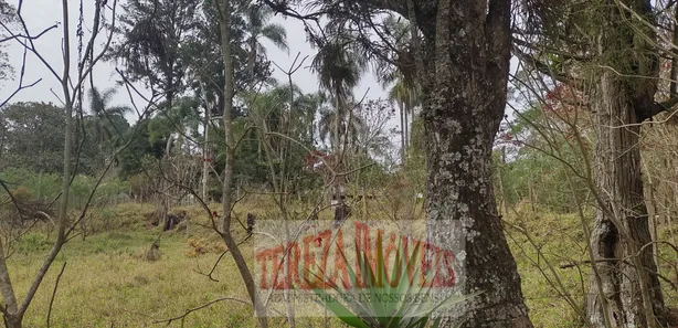 Fazenda / Sítio / Chácara com 8 Quartos para venda ou aluguel, 58800m² no Jardim Revista, Suzano