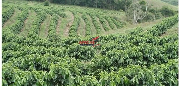 Fazenda / Sítio / Chácara com 1 Quarto à venda, 93600m² no Área Rural de Viçosa, Viçosa