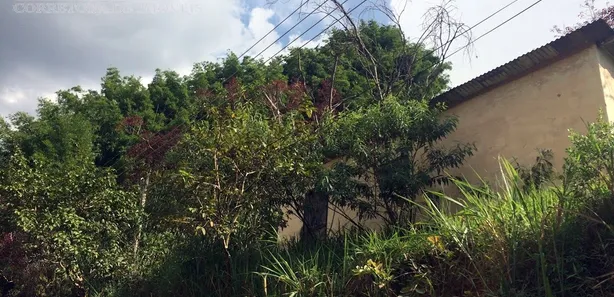 Fazenda / Sítio / Chácara com 1 Quarto à venda, 29000m² no Três Porteiras, Paty do Alferes